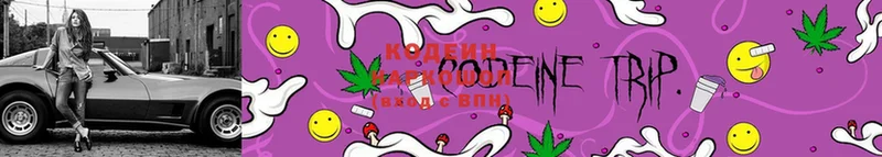 где продают наркотики  Староминская  Кодеин Purple Drank 